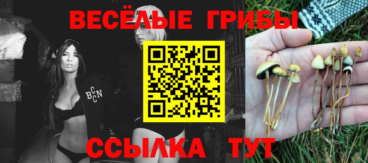 Галлюциногенные грибы MAGIC MUSHROOMS  Вход с VPN  Магадан 
